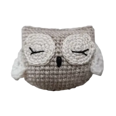 Errol the Cozy Owl